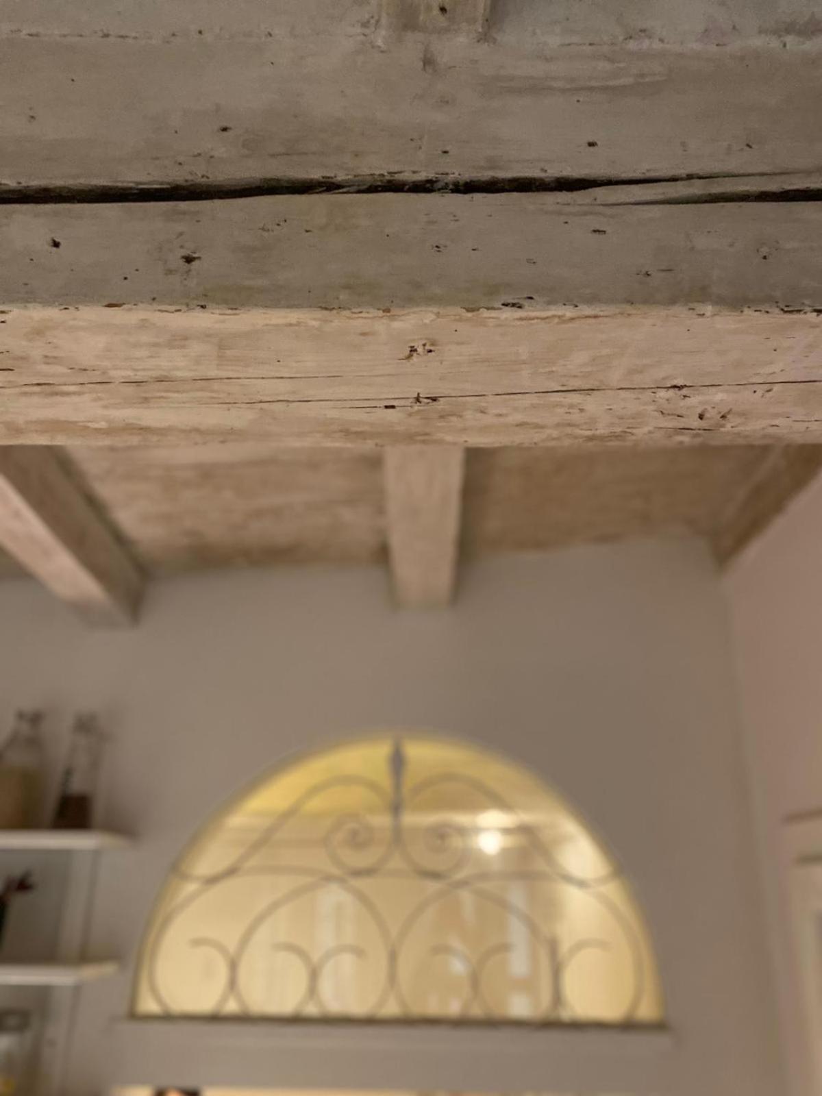 Casina Centotrecento-Romantic & Quite Apartment- Bologne Extérieur photo